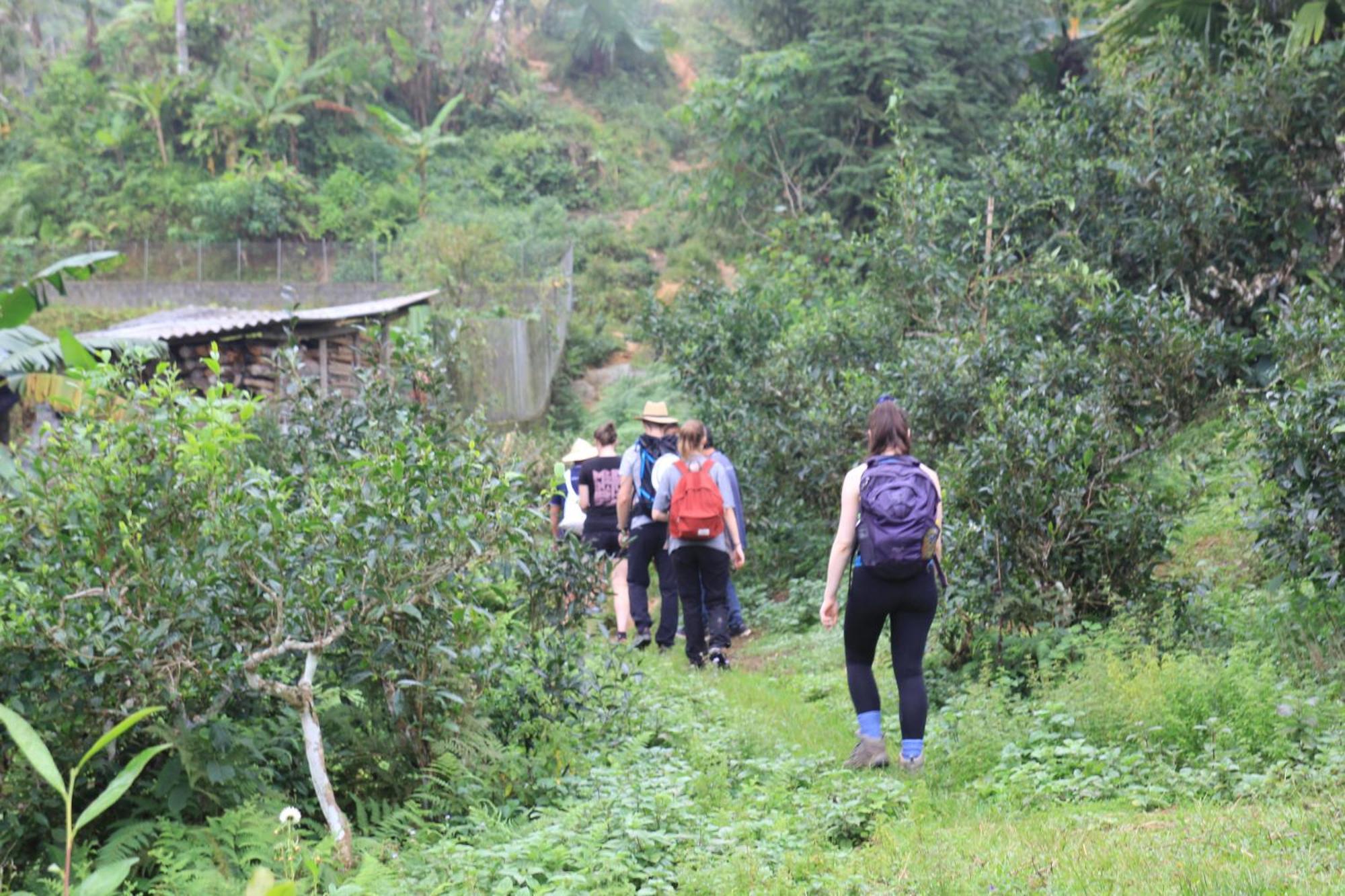 Apartament Thavill Retreat Hagiang Hà Giang Zewnętrze zdjęcie