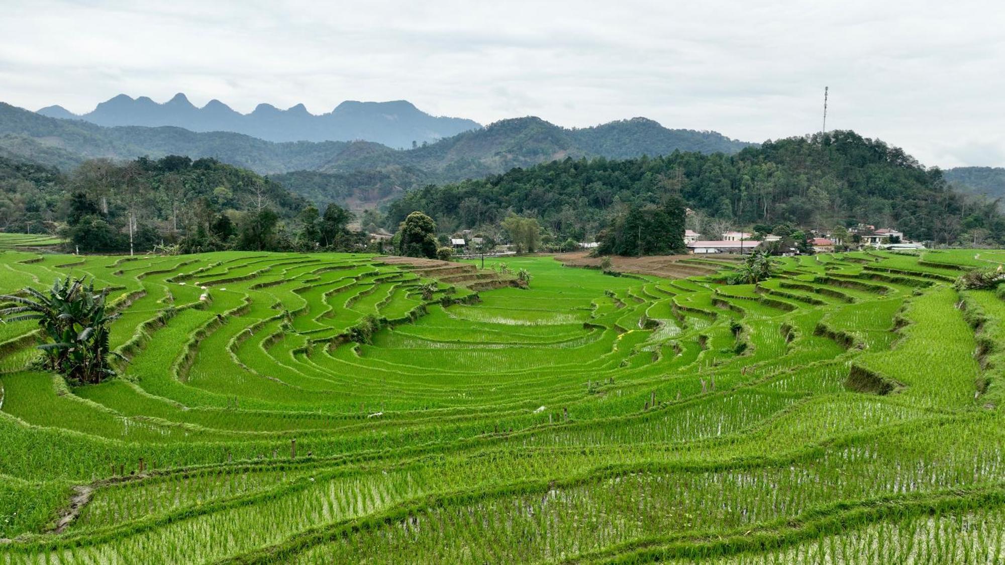 Apartament Thavill Retreat Hagiang Hà Giang Zewnętrze zdjęcie